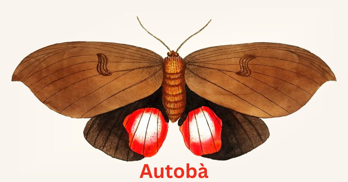 Autobà Exploring the Moth Genus Established by Francis Walker in 1863