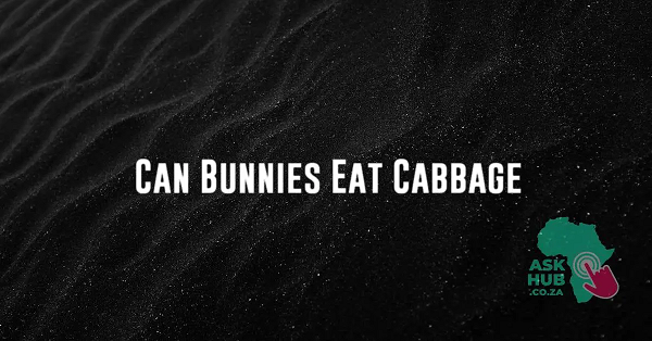 Can Bunnies Eat Cabbage