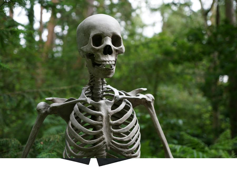 Funny Names for Skeletons Hilarious Skeleton Names